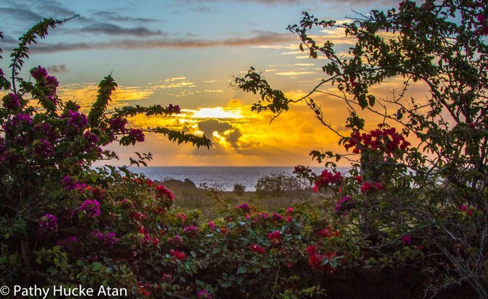 Kona Koa Lodge Hanga Roa Exteriér fotografie